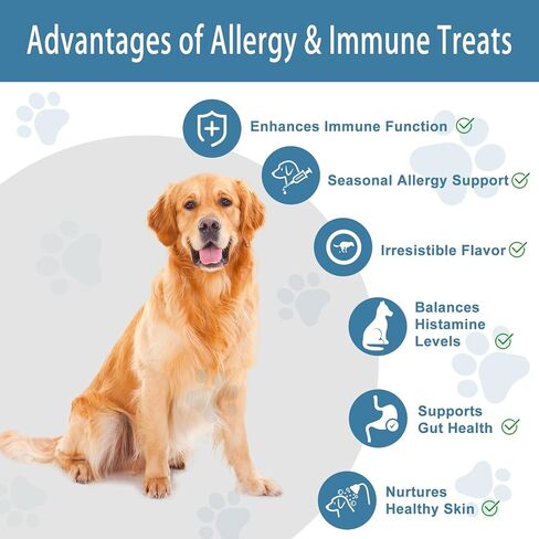 Dog Allergy Chews Relief, Dogs Itching Skin Relief Treat, Dog Anti-Itch, Skin Irritation & Licking Itchy Paws, Dry Skin & Hot Spots, Skin and Coat Supplement Seasonal Allergies Treatment Canine Care in Kuwait