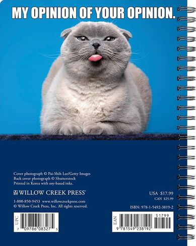 مخطط أسبوعي من Cat-astrofe Softcover لعام 2024، تقويم خطوبة حلزوني (6.5 بوصة × 8.5 بوصة) in Saudi Arabia