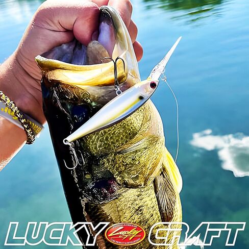 Lucky Craft Pointer 78xD ~ Extra Diver Diver Jerkbait جنبًا إلى جنب in Kuwait
