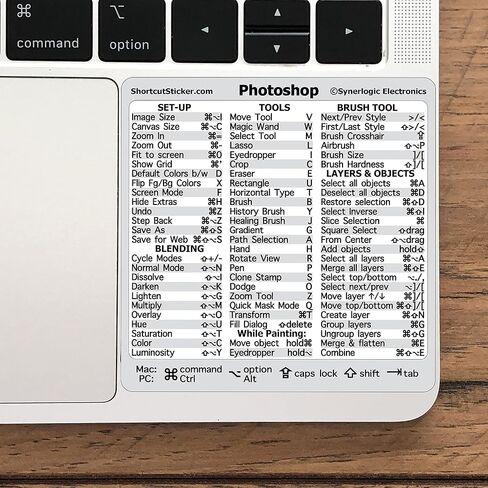 ملصق مختصر لدليل لوحة المفاتيح المرجعي السريع Adobe Lightroom من SYNERLOGIC، لاصق لا يترك بقايا، فينيل متين، متوافق مع أي جهاز MacBook أو كمبيوتر شخصي، مقاس 3.25 × 3.25 بوصة أبيض in Kuwait