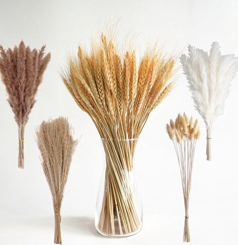 100 PCS Small Boho Pampas Grass, 17" Naturally Dried Pompas, Pampas Grass Decor for Wedding , Boho Party Decorations, Table Decor（Brown and White） in Saudi Arabia