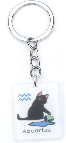 12 Zodiac Signs Black Cat Keychain ، سلسلة مفاتيح القط المضحكة للنساء ، هدية عيد ميلاد لعشاق القطط in Kuwait
