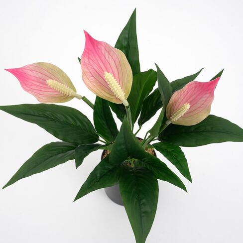 2 Packs Artificial Spathiphyllum Silk Plants 18.5" Faux Peace Lily Anthurium Flower for Wedding Home Garden Decoration (White) in Saudi Arabia