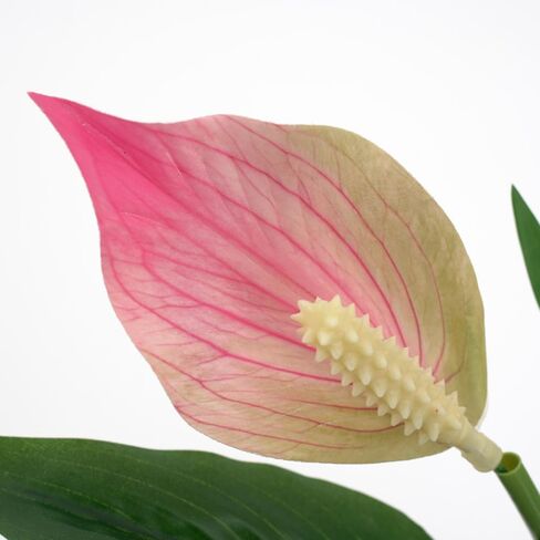 2 Packs Artificial Spathiphyllum Silk Plants 18.5" Faux Peace Lily Anthurium Flower for Wedding Home Garden Decoration (White) in Saudi Arabia