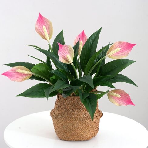 2 Packs Artificial Spathiphyllum Silk Plants 18.5" Faux Peace Lily Anthurium Flower for Wedding Home Garden Decoration (White) in Saudi Arabia