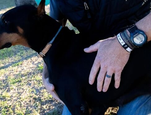 WWJD Bracelets - Elastic Bands - 1 Pack - Christian Bracelets, Inspirational Sayings in Kuwait