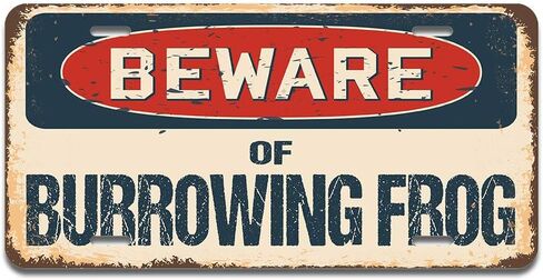 SignMission Beware of Catfish Aluminum License Plate | License Plate 12" X 6" Fits Any Car, Truck, SUV, RV, or Trailer | Made in The USA in Kuwait