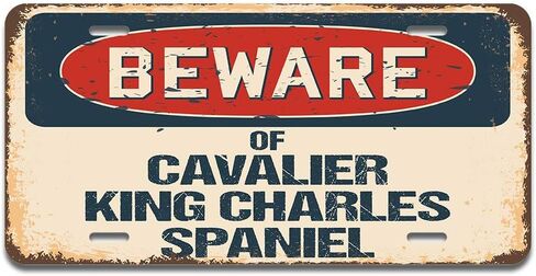 SignMission Beware of Catfish Aluminum License Plate | License Plate 12" X 6" Fits Any Car, Truck, SUV, RV, or Trailer | Made in The USA in Kuwait