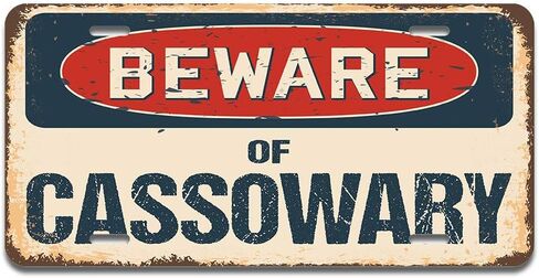SignMission Beware of Catfish Aluminum License Plate | License Plate 12" X 6" Fits Any Car, Truck, SUV, RV, or Trailer | Made in The USA in Kuwait