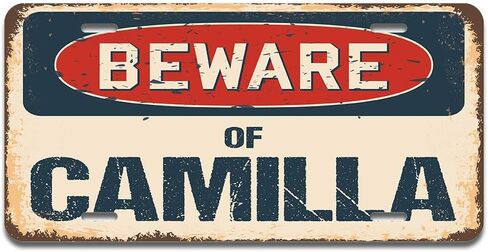 SignMission Beware of Catfish Aluminum License Plate | License Plate 12" X 6" Fits Any Car, Truck, SUV, RV, or Trailer | Made in The USA in Kuwait