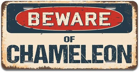 SignMission Beware of Catfish Aluminum License Plate | License Plate 12" X 6" Fits Any Car, Truck, SUV, RV, or Trailer | Made in The USA in Kuwait