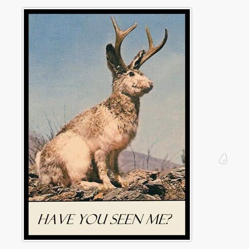 Magnet Jackalope - Have You Seen Me? Magnetic Vinyl Sticker 5" in Saudi Arabia