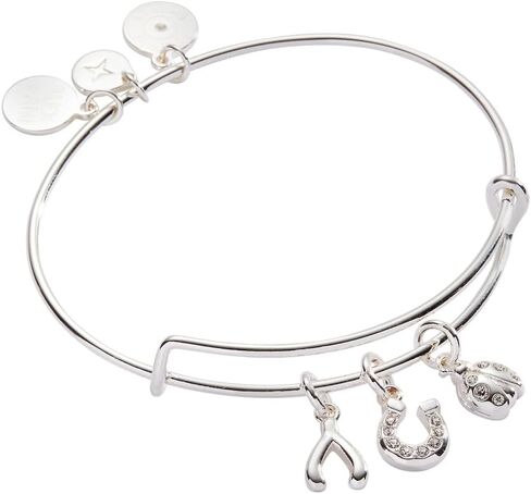 Alex and Ani Love and Luck Multi-Charm Bangle in Saudi Arabia