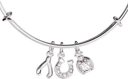 Alex and Ani Love and Luck Multi-Charm Bangle in Saudi Arabia