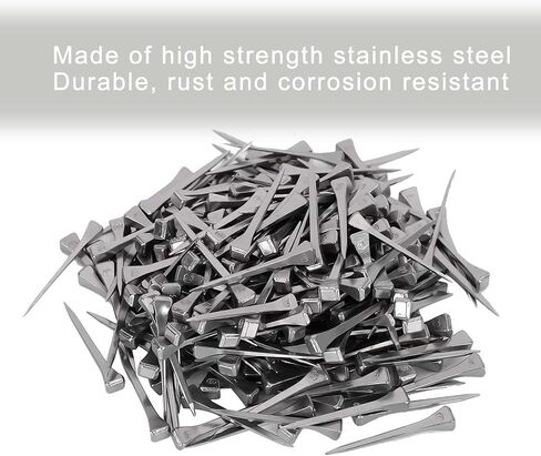 250pcs e6 Horseshoe Nails 2.1 بوصة من الفولاذ المقاوم للصدأ الحدوة حصان الأظافر الحصان الحافر أدوات حدوة الحصان للزجاج الملون ، تدريب الخيول الفروسية الرياضية in Kuwait