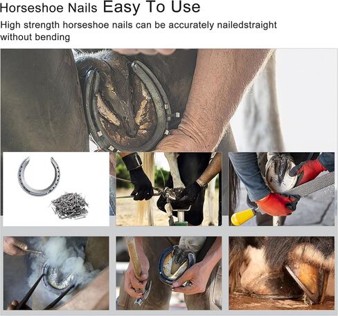 250pcs e6 Horseshoe Nails 2.1 بوصة من الفولاذ المقاوم للصدأ الحدوة حصان الأظافر الحصان الحافر أدوات حدوة الحصان للزجاج الملون ، تدريب الخيول الفروسية الرياضية in Kuwait