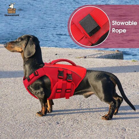 Queenmore Small Dog Life Jacket,Adjustable Small Dog Life Vest for Swimming in Kuwait