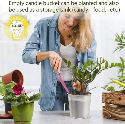 شمعة Citronella في الهواء الطلق معدنية صغيرة شمعة الصويا شمع الشمع in Saudi Arabia