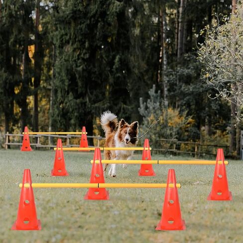 TNZMART Dog Agility Hurdle Cones Pet Jump Training Set Dog Agility Course Backyard Set Adjustable Obstacle Training Set (Orange, 6 Sets) in Kuwait