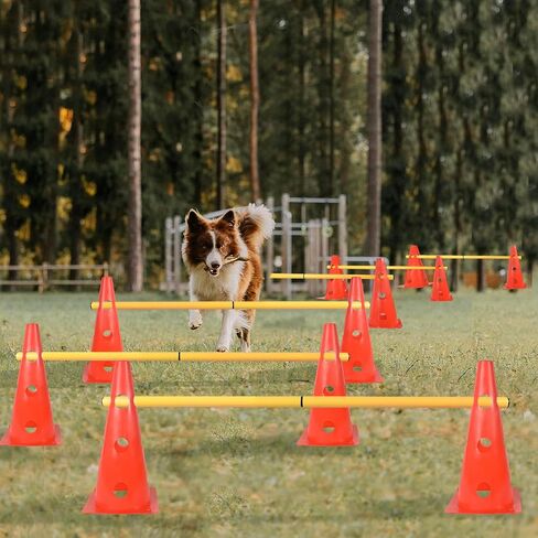 TNZMART Dog Agility Hurdle Cones Pet Jump Training Set Dog Agility Course Backyard Set Adjustable Obstacle Training Set (Orange, 6 Sets) in Kuwait