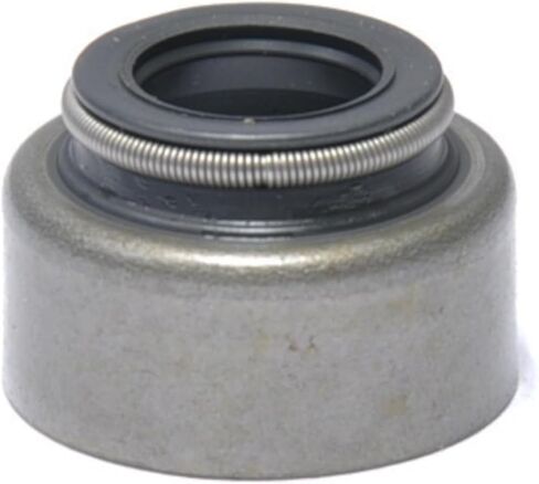 أختام الجذعية الصمام (20 عدد) | إيجابية 11/32 "x .562" | Viton in Saudi Arabia