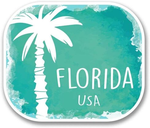 Florida USA Round Metal 0.75" Lapel Pin Hat Shirt Pin Tie Tack Pinback in Saudi Arabia