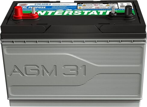 Interstate Batteries Marine/RV Battery 12V 62Ah 800CCA (34M-AGM) Dual Purpose Power Pure Lead AGM RV & Marine Starting Replacement Battery (Group Size 34M) Boats, RV's in Saudi Arabia