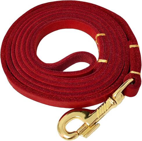 LWBMG 4ft Leather Dog Leash for Small Dogs, Genuine Leather Leash for Small & Medium Dogs, Red in Kuwait