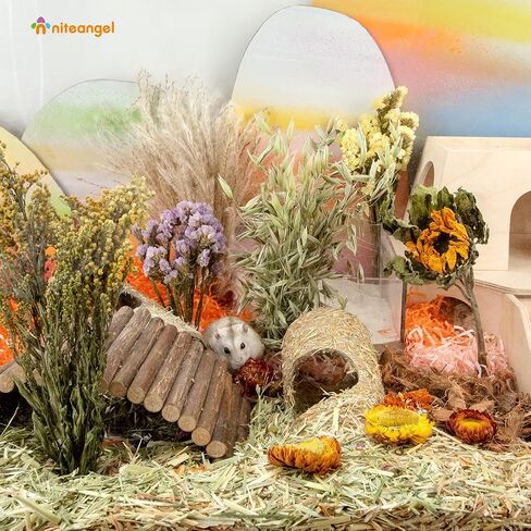 Niteangel Natural & Soft Hamster Bedding Mate Small Animal Habitat Decor for Syrian Dwarf Hamsters Gerbils Mice Degus Bunny or Other Small-Sized Pet (Harvest Version) in Kuwait
