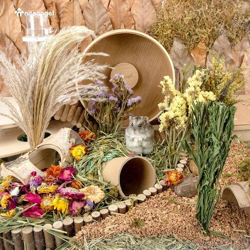 Niteangel Natural & Soft Hamster Bedding Mate Small Animal Habitat Decor for Syrian Dwarf Hamsters Gerbils Mice Degus Bunny or Other Small-Sized Pet (Harvest Version) in Kuwait