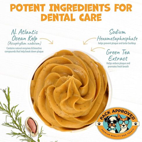 Dog Peanut Butter - with Prebiotic and Probiotic for Dogs to Boost Gut Health - Supports Digestive Support and Immune Support - Peanut Butter Treats - Gut Health (8.46oz) in Kuwait