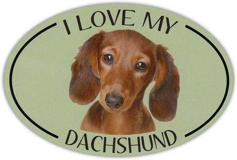 Oval Dog Breed Picture Car Magnet - I Love My Dachshund - Magnetic Bumper Sticker in Saudi Arabia