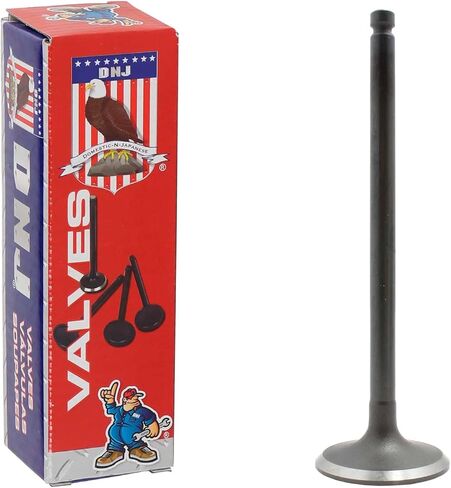 DNJ IV444 Intake Valve for 1988-1997 Kia, Mazda, Mercury 323, Capri, Miata 1.6L L4 16V DOHC 1597cc in Saudi Arabia