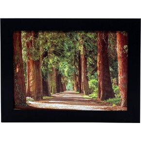 إطار صورة A4 من الخشب الأسود مقاس 21 × 29.7 سم مع حصيرة مقاس 13.8 × 20 سم - يشتمل على أدوات تعليق وحامل - زجاج حقيقي - أفقي ورأسي للجدار أو سطح الطاولة - الحجم الدولي - 8.3 × 11.7 بوصة in Kuwait