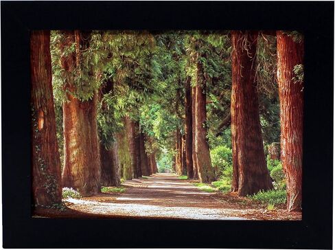 إطار صورة A4 من الخشب الأسود مقاس 21 × 29.7 سم مع حصيرة مقاس 13.8 × 20 سم - يشتمل على أدوات تعليق وحامل - زجاج حقيقي - أفقي ورأسي للجدار أو سطح الطاولة - الحجم الدولي - 8.3 × 11.7 بوصة in Kuwait