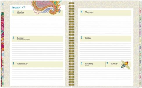 مخطط WSBL الدعسوقة 2024 ديلوكس (24997061026) in Kuwait