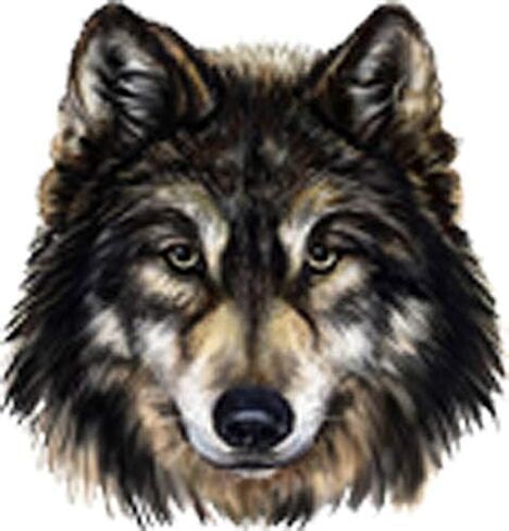 ملصق لاصق من الفينيل بتفاصيل رائعة من Wolf Hound Husky (عرض 4 بوصات) in Kuwait