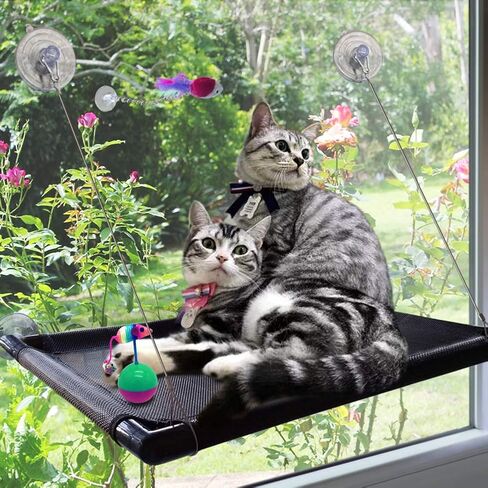 Cat Perch Cat Window Perch Window Cat Perch Hammock Cat Window Hammock Bed Cat Window Seat Kitty Window Sunny Seat Durable Big Pet Perch with Upgraded 4 Big Suction Cups Cat Bed Holds Up to 60lbs in Saudi Arabia