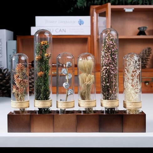 Handcrafted Immortal Plants Book Shelf Decor - Natural Plant Decor|Wood Sculpture for Table,Desk,Office,Bookshelf - Unique Gift for Women,Plant Lovers,Nature Enthusiasts (3-Piece Set) in Saudi Arabia