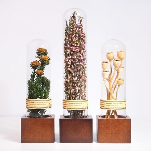 Handcrafted Immortal Plants Book Shelf Decor - Natural Plant Decor|Wood Sculpture for Table,Desk,Office,Bookshelf - Unique Gift for Women,Plant Lovers,Nature Enthusiasts (3-Piece Set) in Saudi Arabia