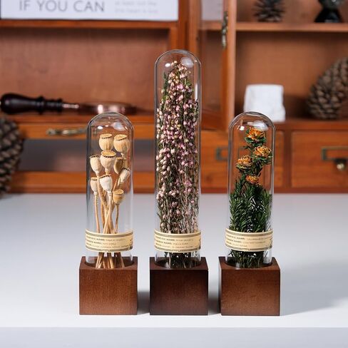 Handcrafted Immortal Plants Book Shelf Decor - Natural Plant Decor|Wood Sculpture for Table,Desk,Office,Bookshelf - Unique Gift for Women,Plant Lovers,Nature Enthusiasts (3-Piece Set) in Saudi Arabia