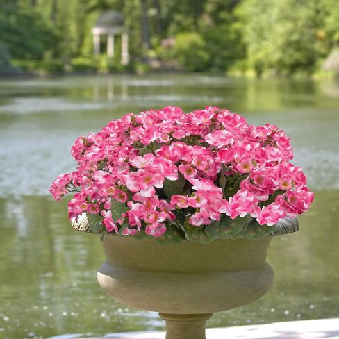 4PCS Geraniums Artificial Flowers Realistic Artificial Flowers for Outdoors Faux Red Geranium Silk Flower Outdoor Faux Plants Bush for Planters Front Porch Garden Home Fountain Window Box Decor in Saudi Arabia
