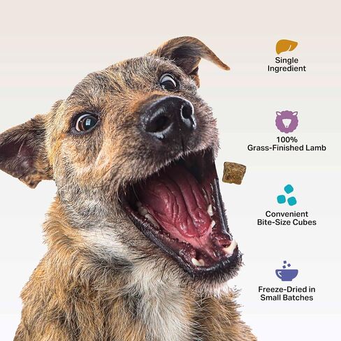 Beef Heart Dog Treats - Freeze-Dried - Great Source of Taurine - Use as Training Treats or a Nutritious Food Topper - Made in USA with 100% Grass Finished New Zealand Beef - Single Ingredient Treat in Saudi Arabia