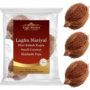 Yogic Mantra Laghu Nariyal (3 PCs.) تمثال Kalash Nariyal Small Coconut لـ Ekadashi Puja & Mahalaxmi Pooja. Tiny Laxmi Nariyal ، جوز الهند المصغرة لصلاة المنزل Mahalakshmi Kalash Lota Havan Samagri. in Kuwait