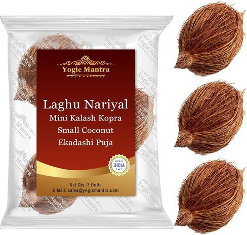 Yogic Mantra Laghu Nariyal (3 Pcs.) Kalash Nariyal Small Coconut Figurine for Ekadashi Puja & Mahalaxmi Pooja. Tiny Laxmi Nariyal, Mini Coconuts for Home Prayer Mahalakshmi Kalash Lota Havan Samagri. in Saudi Arabia