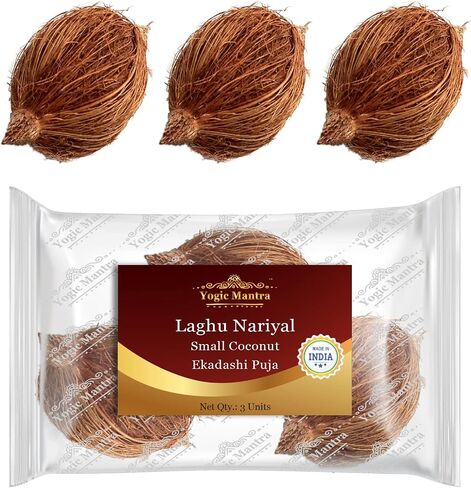 Yogic Mantra Laghu Nariyal (3 Pcs.) Kalash Nariyal Small Coconut Figurine for Ekadashi Puja & Mahalaxmi Pooja. Tiny Laxmi Nariyal, Mini Coconuts for Home Prayer Mahalakshmi Kalash Lota Havan Samagri. in Saudi Arabia