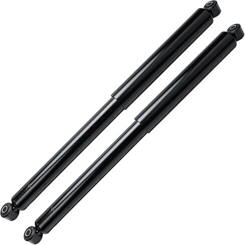 Detroit Axle-REAR 2PC Sustorbers for Screen for 2009-2019 Ford F-150 ، 2 Complete Shock Ussorbers Assembly 2010 2011 2012 2014 2015 2015 2017 2018 Replace in Saudi Arabia