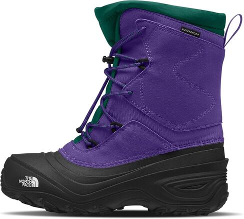 حذاء The NORTH FACE للشباب Alpenglow V المقاوم للماء، أزرق كهف/أسود TNF، 11 in Saudi Arabia