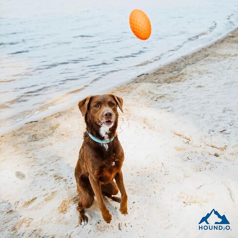 Hound2O Outdoor Dog Toys - Squeaky Football, Yellow - Tough, Engaging, Interactive Toy for All Breeds- Chew, Chase, & Fetch - Durable Non-Toxic Materials That Float - Easy to Clean for Outdoor Play in Kuwait