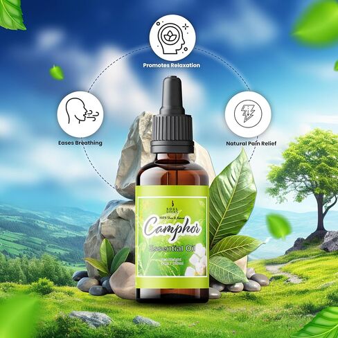 الروح العصي الطبيعية Camphor Essental Oil 4 Fl Oz (120 مل) بنسبة 100 ٪ من زيت الكافور الطبيعي مع قطار زجاجي للعلاج العطري ، Puja ، التدليك ، العناية بالبشرة in Kuwait
